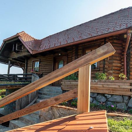 Zidan'Ca Rosel Apartment Dolenjske Toplice Exterior foto