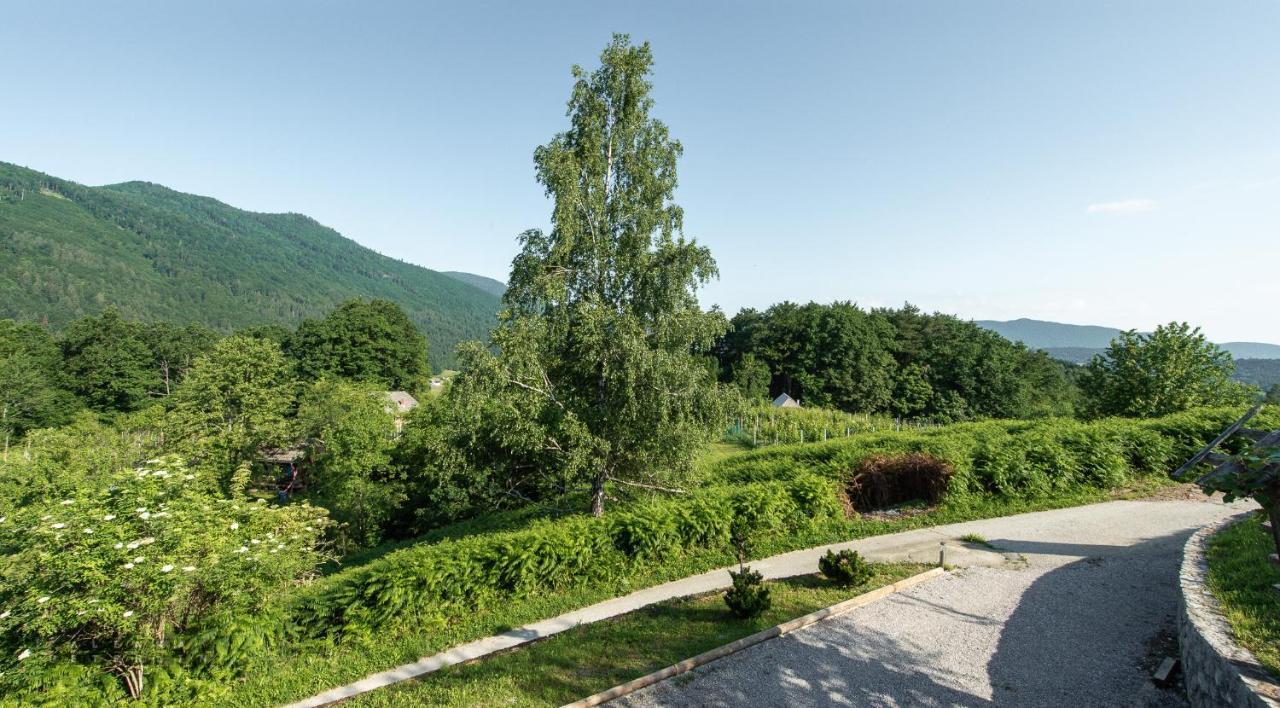 Zidan'Ca Rosel Apartment Dolenjske Toplice Exterior foto