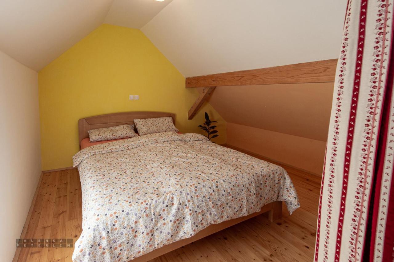 Zidan'Ca Rosel Apartment Dolenjske Toplice Exterior foto