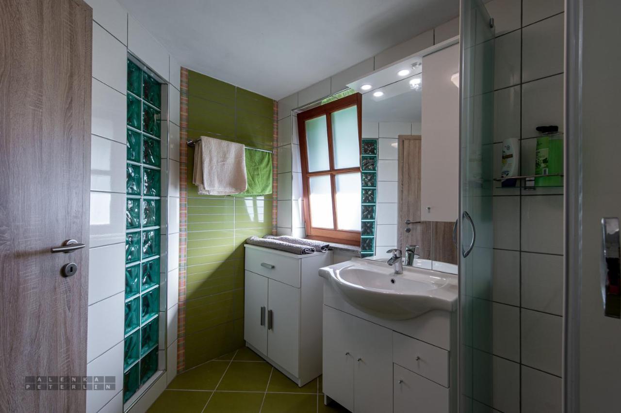 Zidan'Ca Rosel Apartment Dolenjske Toplice Exterior foto