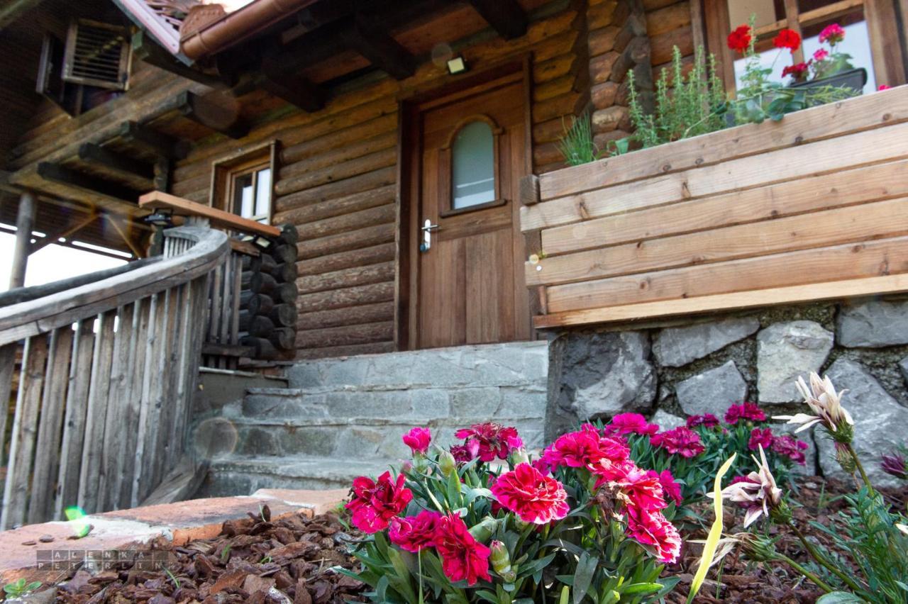Zidan'Ca Rosel Apartment Dolenjske Toplice Exterior foto