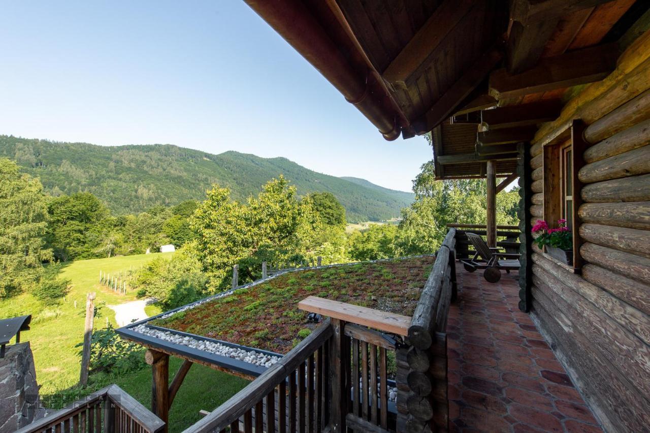 Zidan'Ca Rosel Apartment Dolenjske Toplice Exterior foto